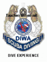 DIWA Diving lerne Tauchen wie die Profis  